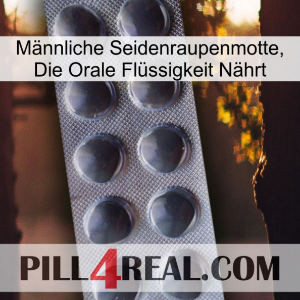 Männliche Seidenraupenmotte, Die Orale Flüssigkeit Nährt 30.jpg